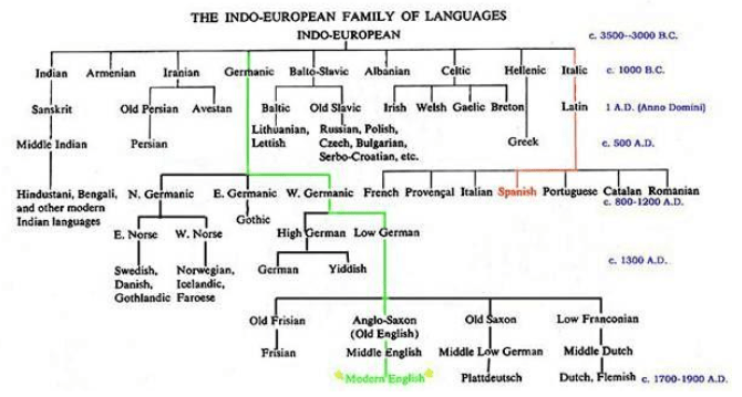 the-indo-european-family-of-languages-smchowdhury